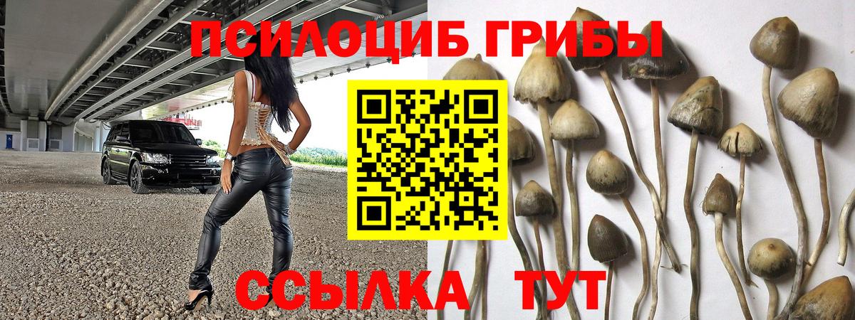 Киров  Псилоцибиновые грибы Magic Shrooms  Вход с VPN  Псилоцибиновые грибы Psilocybe 