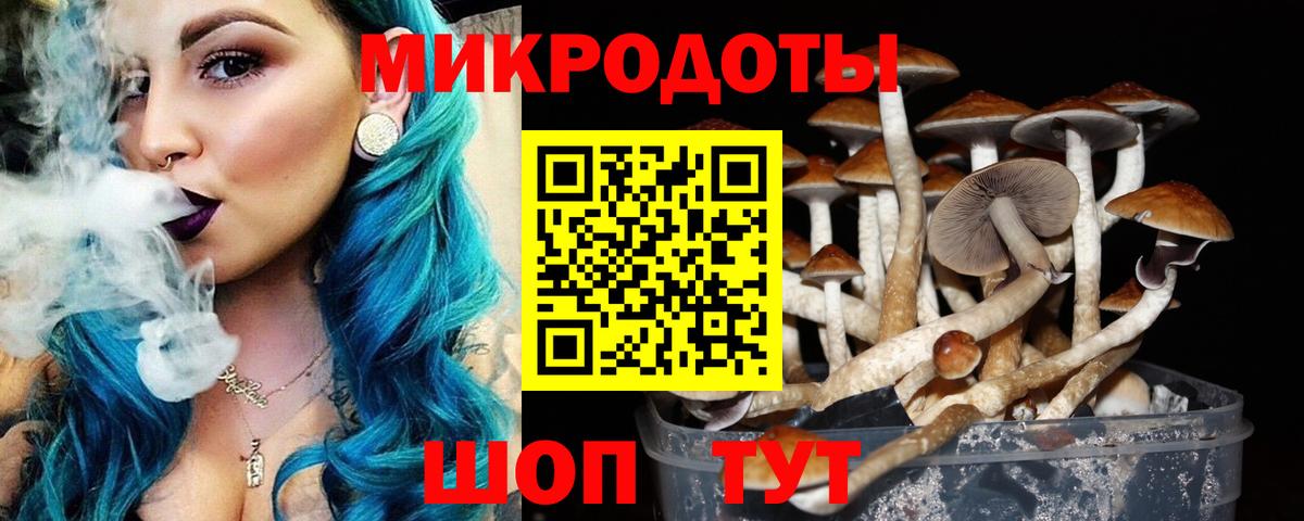 Псилоцибиновые грибы Cubensis Киров